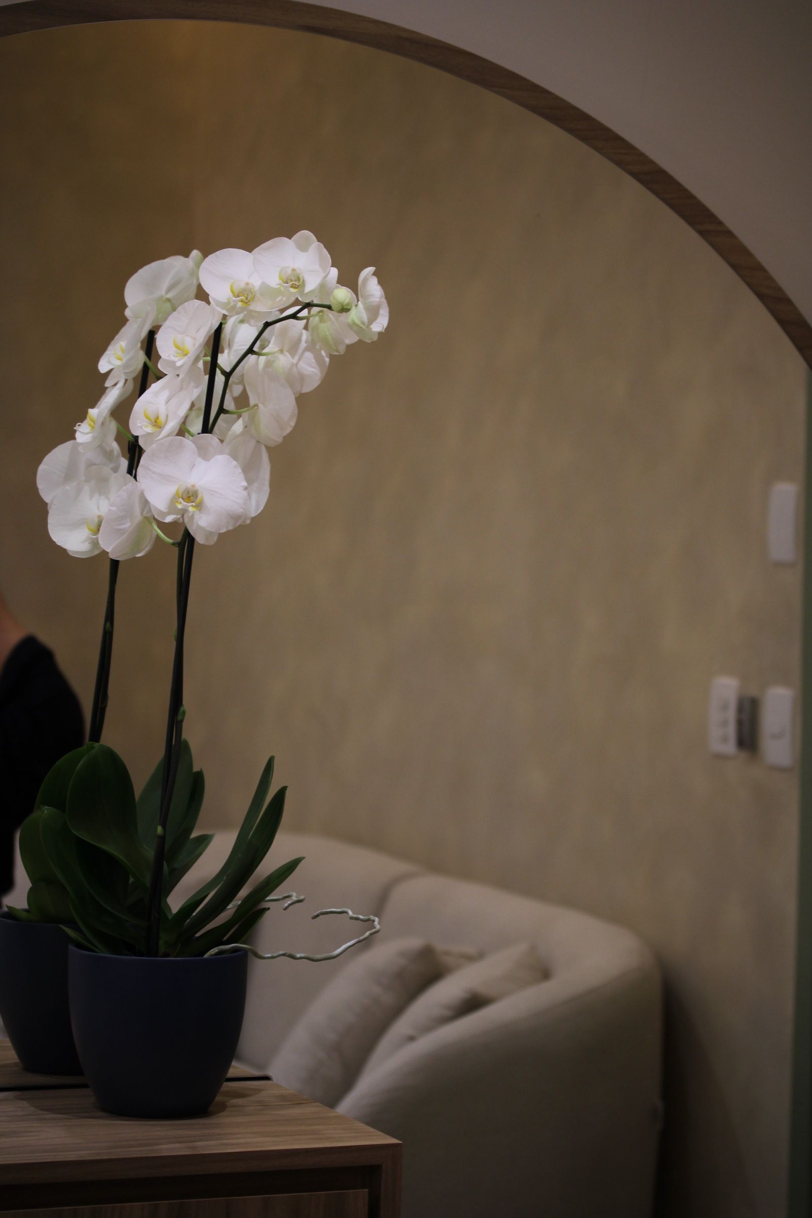 Detalhe da sala com orquídea
